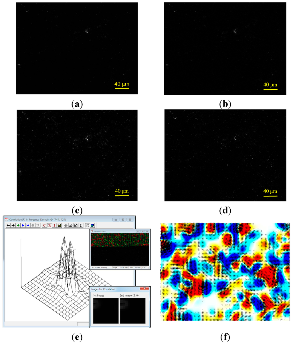 Ijms 16 20225 g006 1024