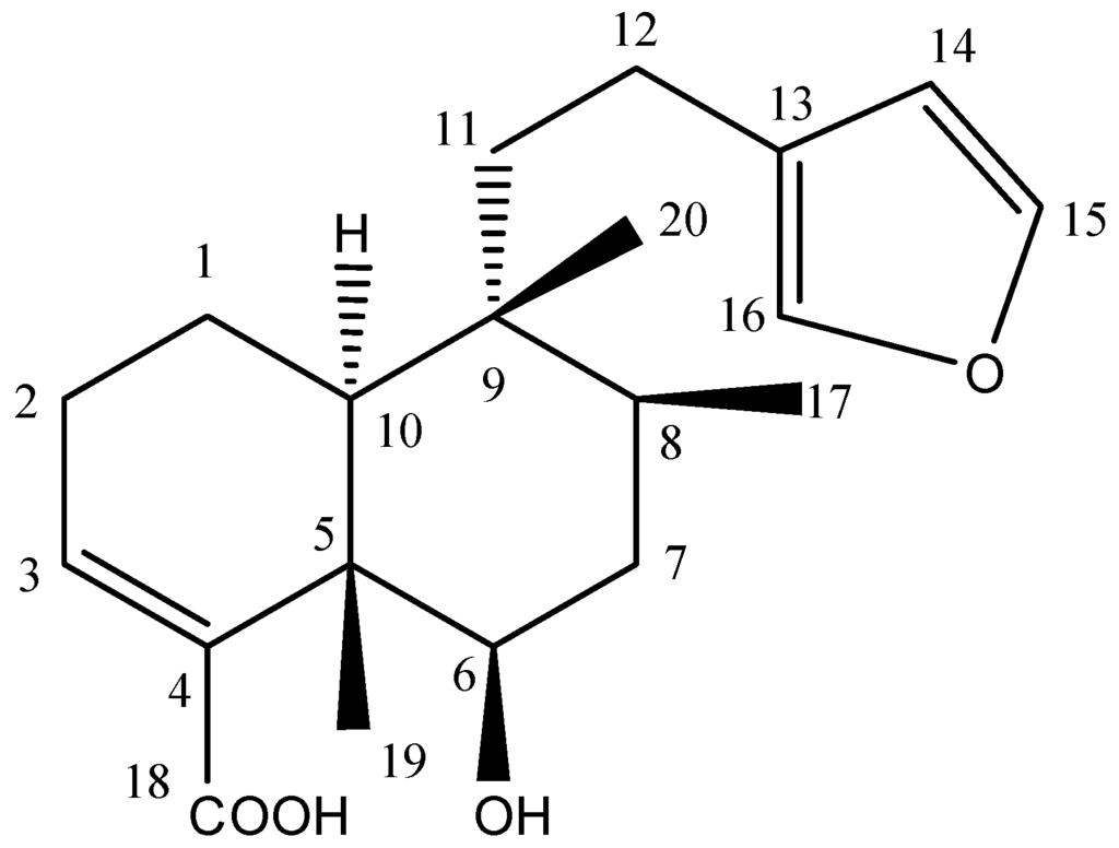 Ijms 16 20290 g004 1024