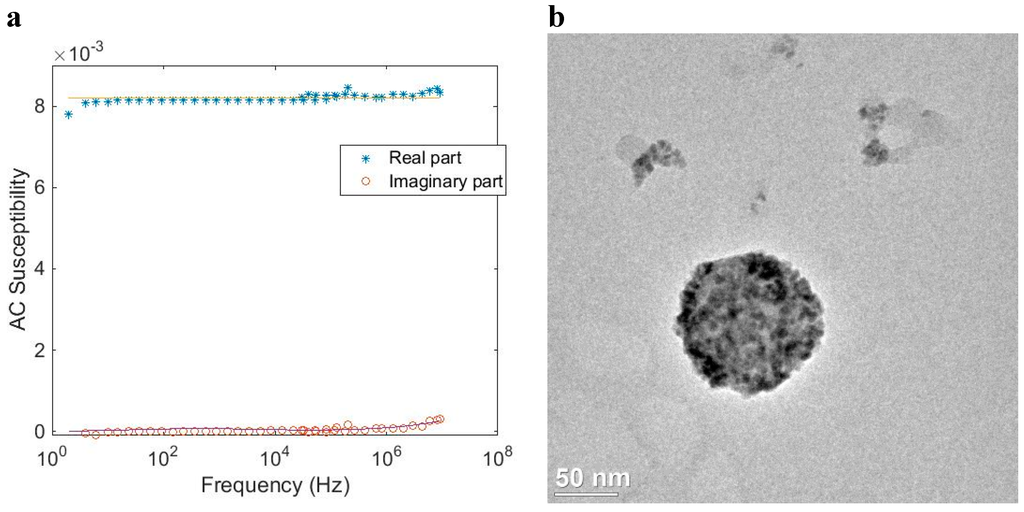 Ijms 16 20308 g008 1024