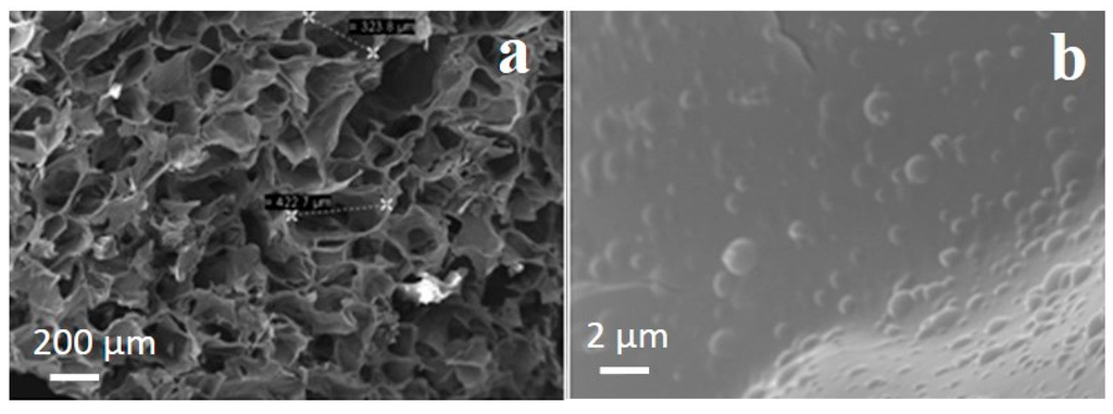 Ijms 16 20492 g008 1024