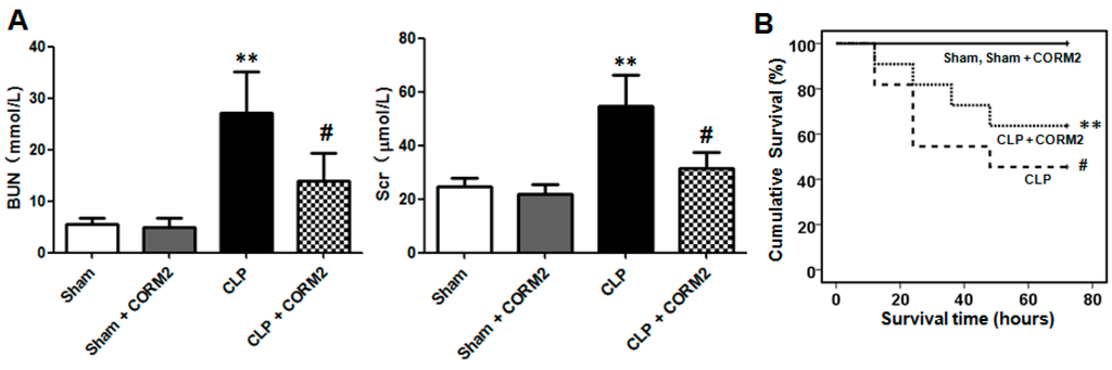 Ijms 16 20595 g001 1024