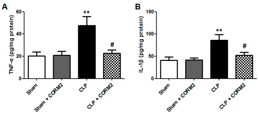 Ijms 16 20595 g005 1024