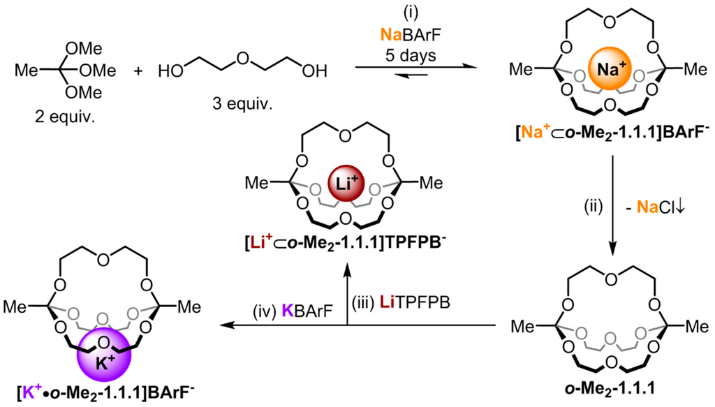 Ijms 16 20641 g001 1024