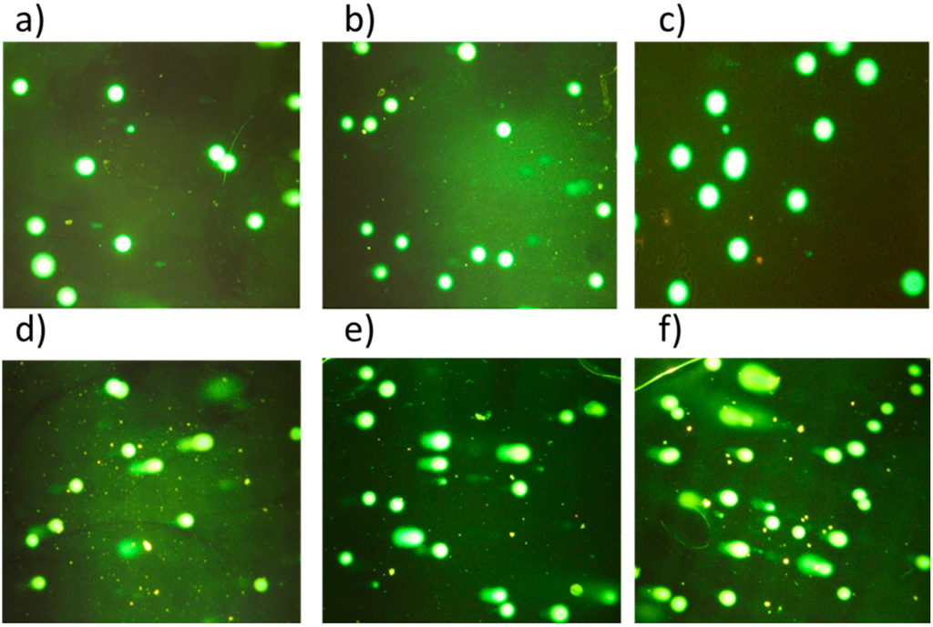 Ijms 16 20943 g008 1024