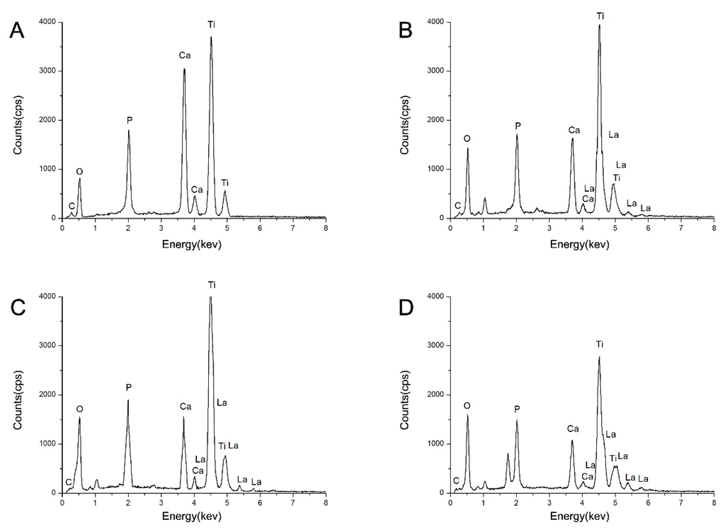 Ijms 16 21070 g003 1024