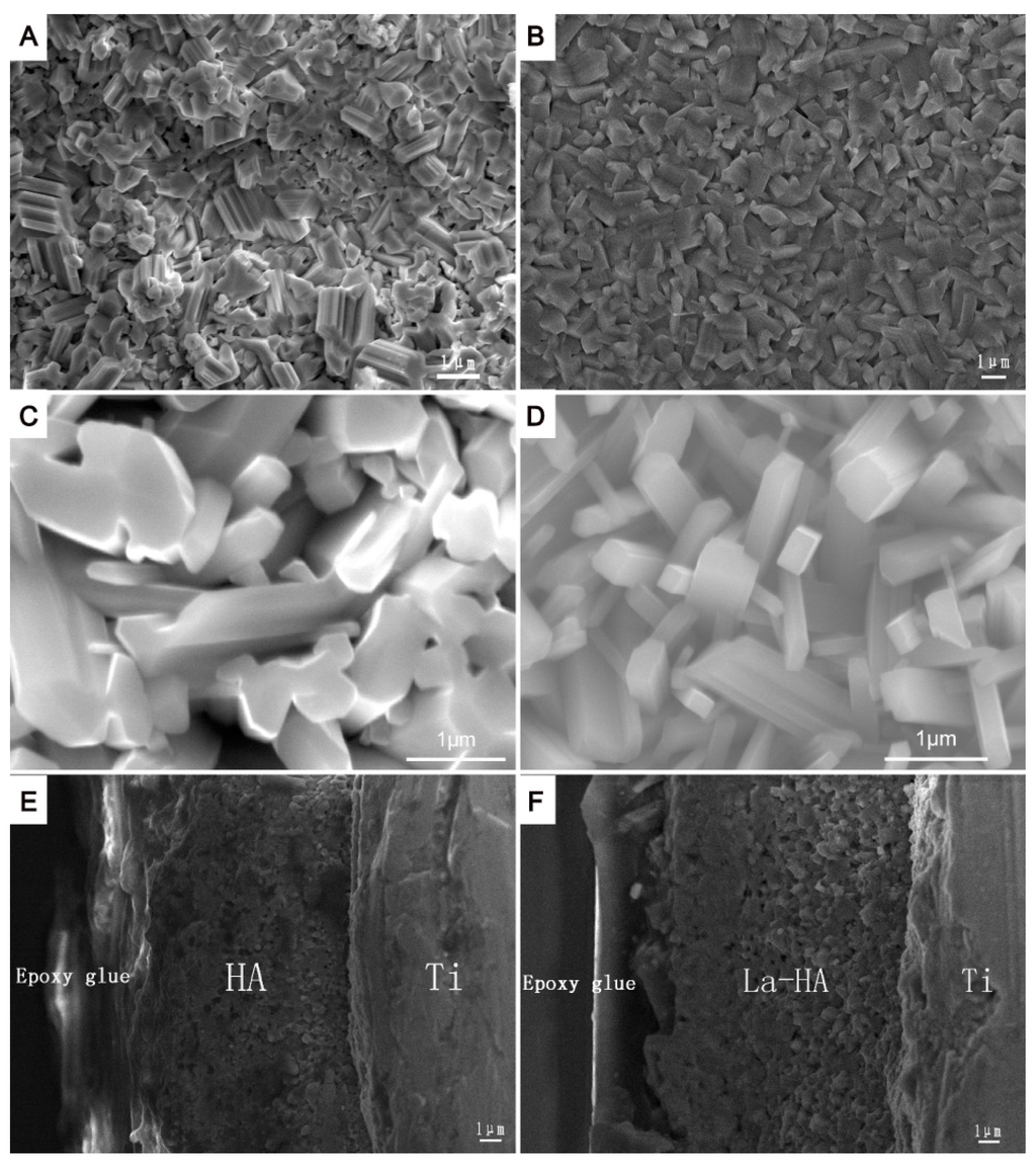 Ijms 16 21070 g004 1024