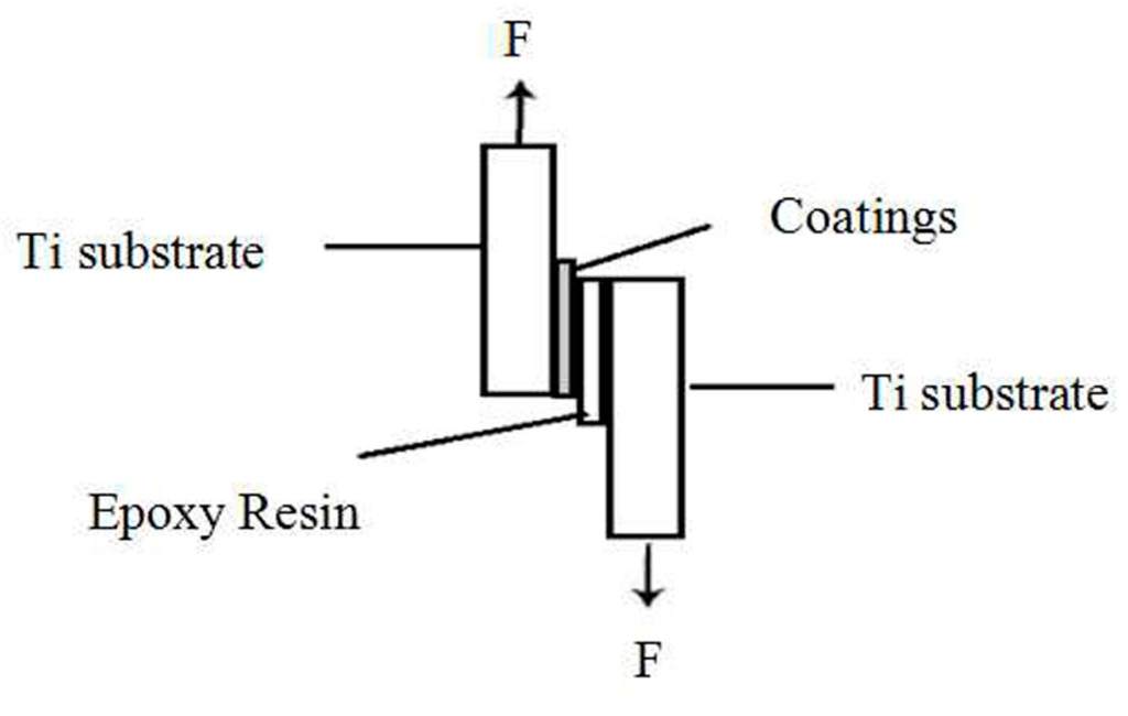 Ijms 16 21070 g011 1024