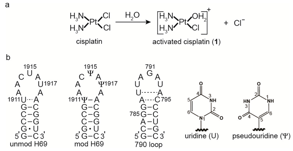 Ijms 16 21392 g001 1024