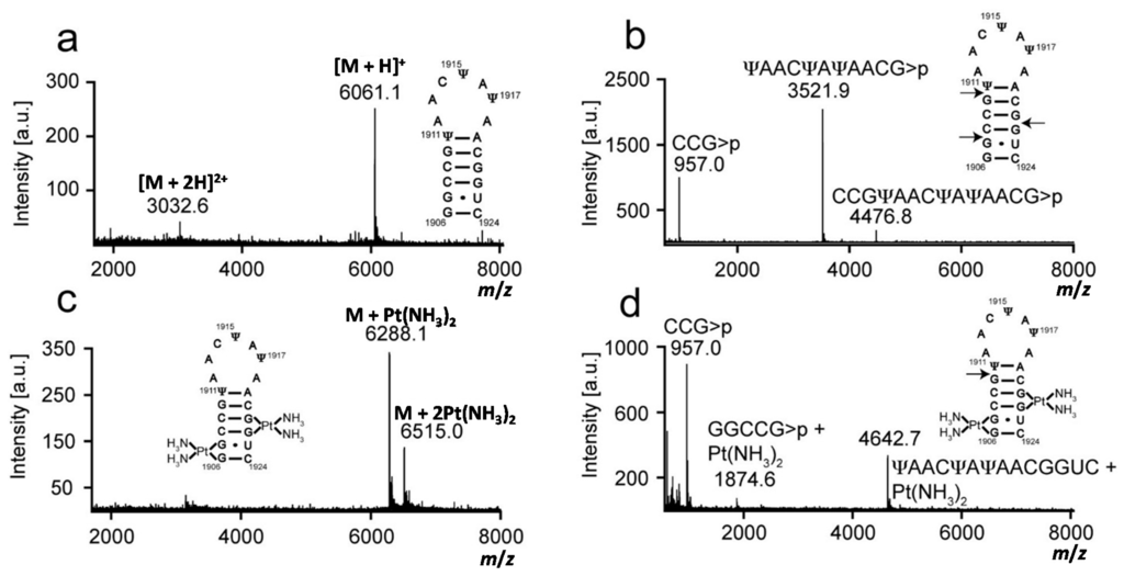Ijms 16 21392 g003 1024