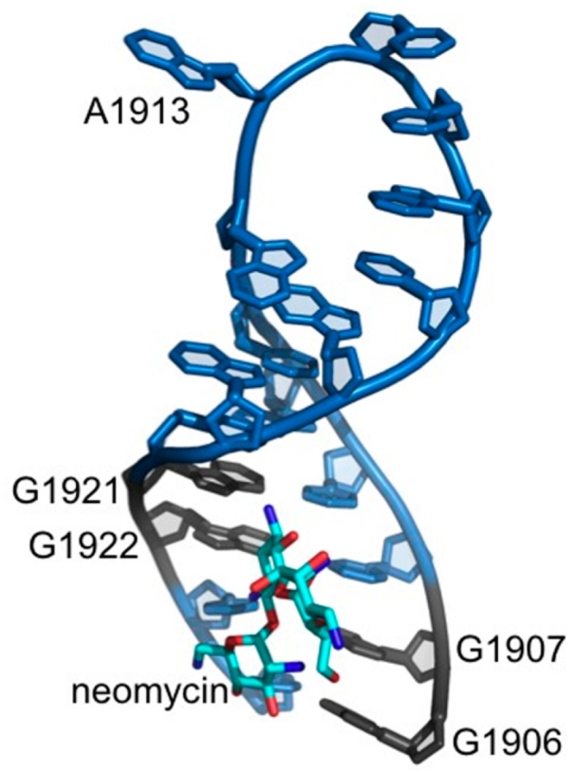 Ijms 16 21392 g007 1024