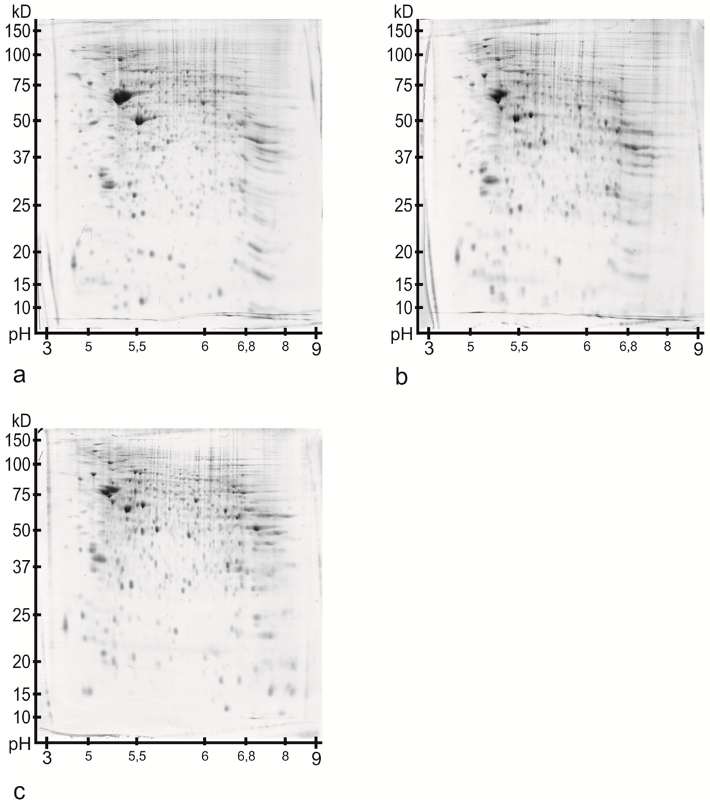 Ijms 16 21454 g001 1024