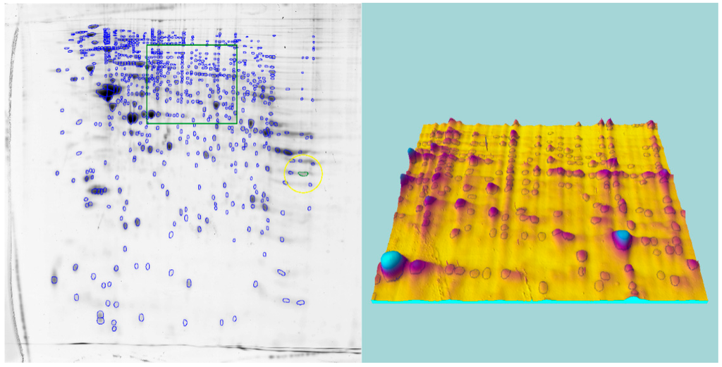 Ijms 16 21454 g002 1024