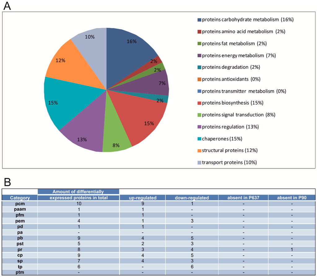 Ijms 16 21454 g004 1024