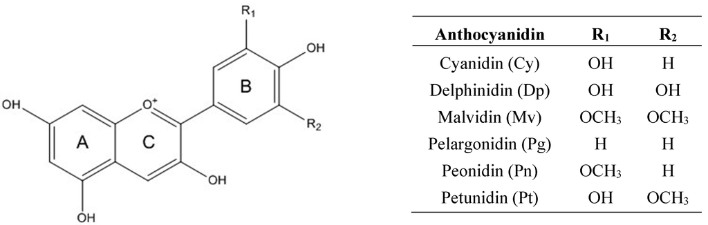 Ijms 16 21555 g001 1024