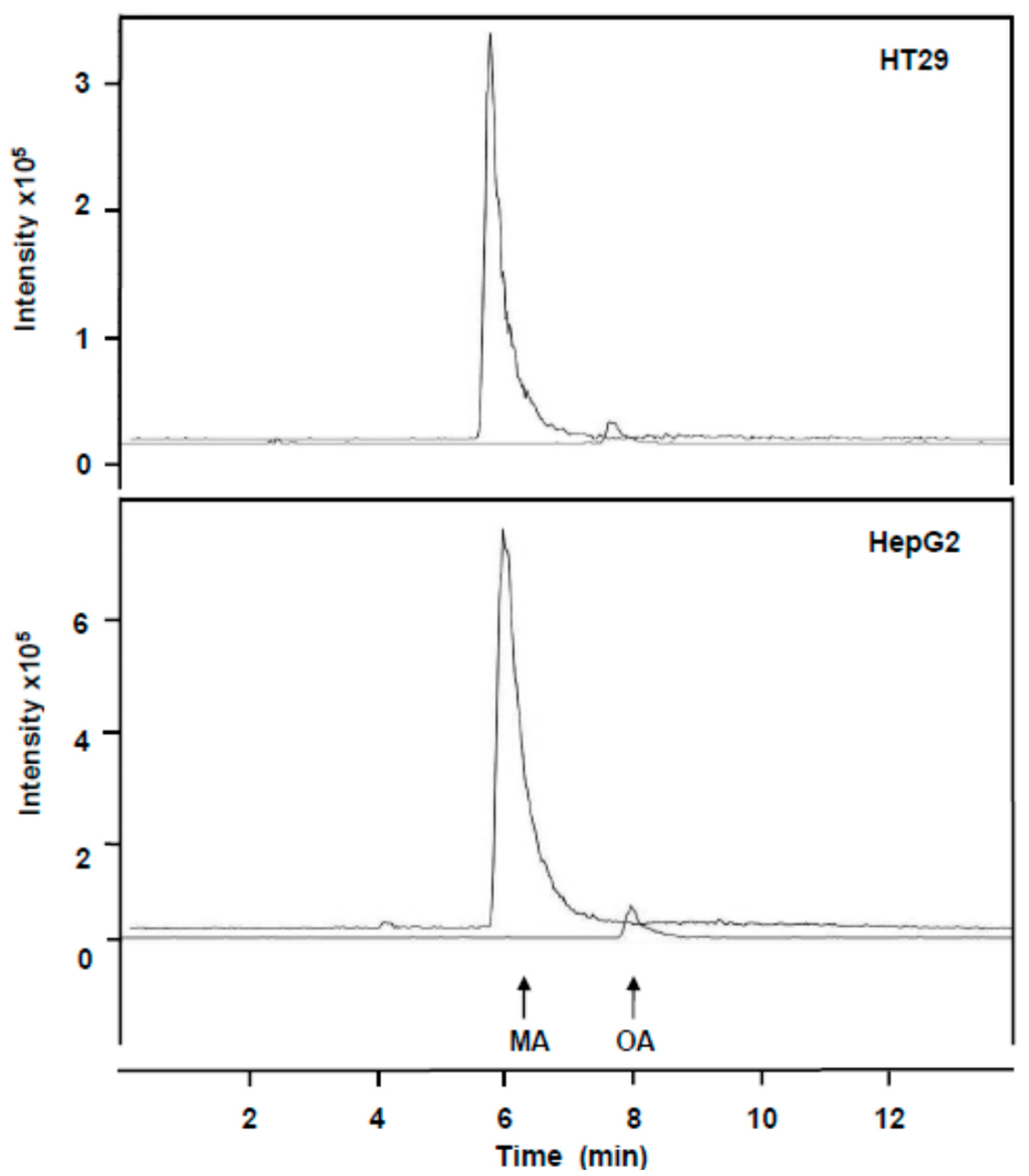 Ijms 16 21681 g006 1024