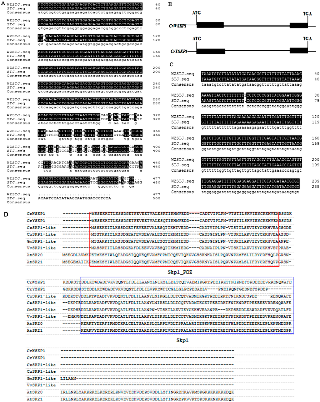 Ijms 16 21695 g001 1024