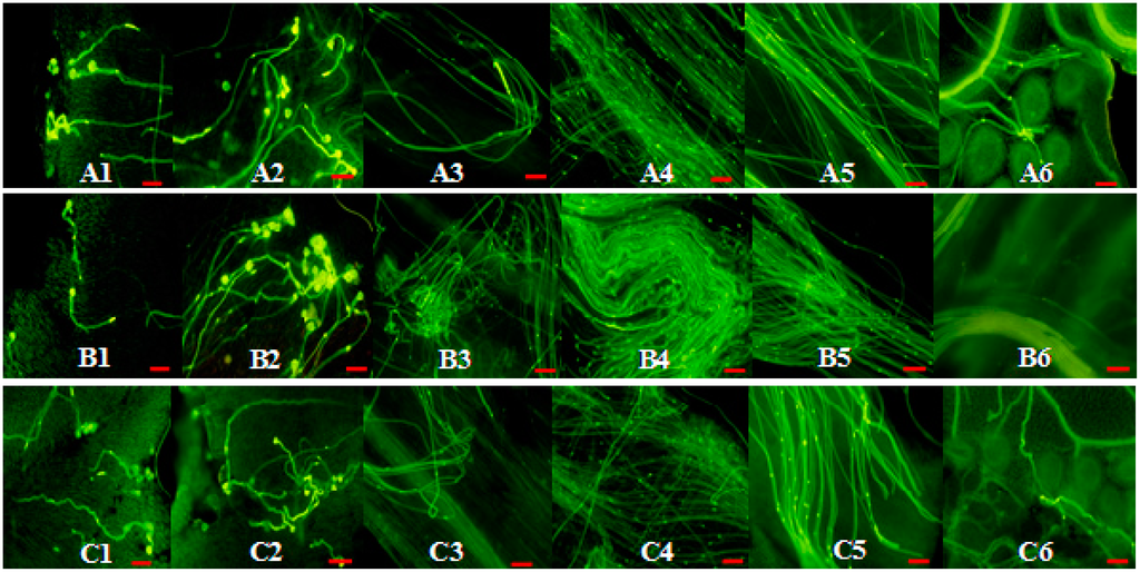 Ijms 16 21695 g004 1024
