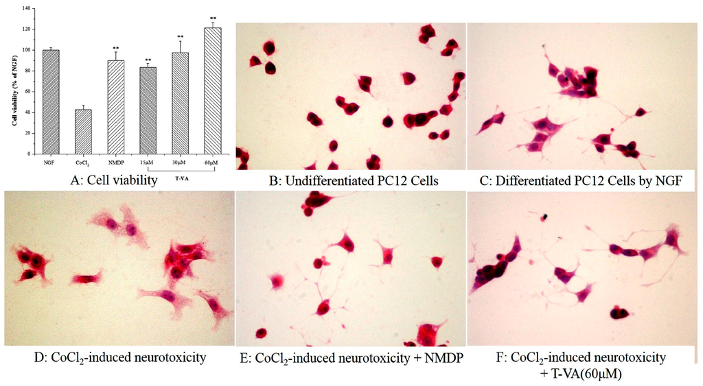 Ijms 16 21759 g002 1024