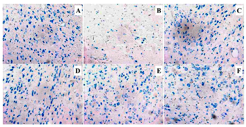 Ijms 16 21759 g005 1024