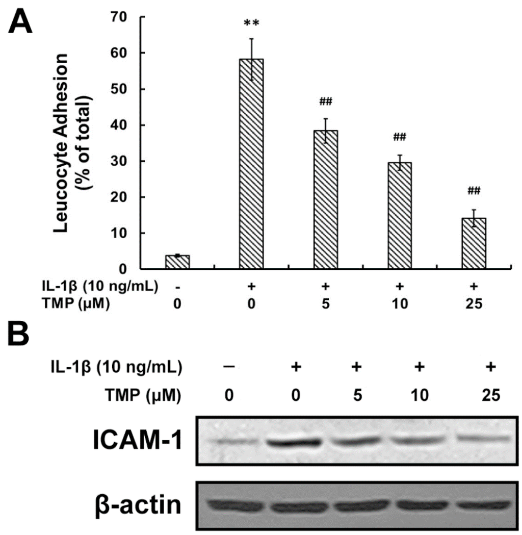 Ijms 16 21775 g003 1024