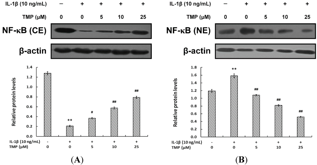 Ijms 16 21775 g004 1024