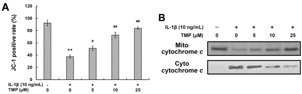 Ijms 16 21775 g006 1024