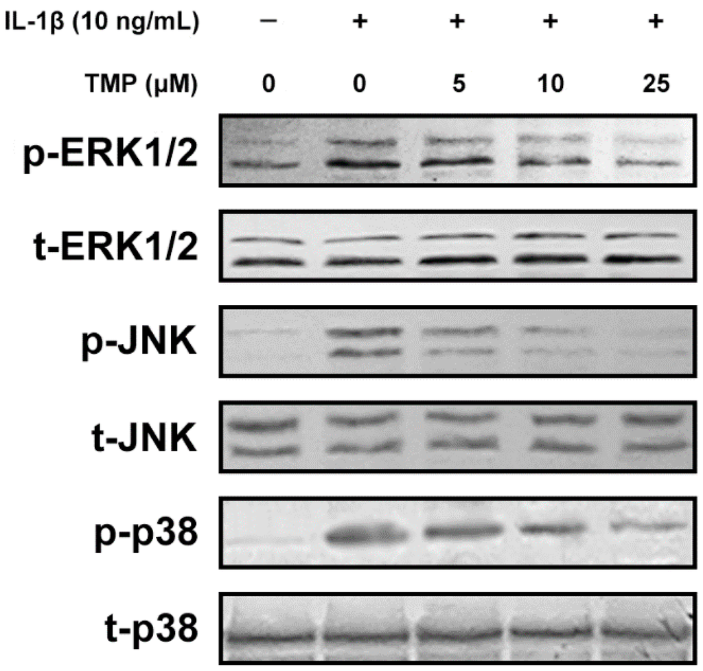 Ijms 16 21775 g007 1024