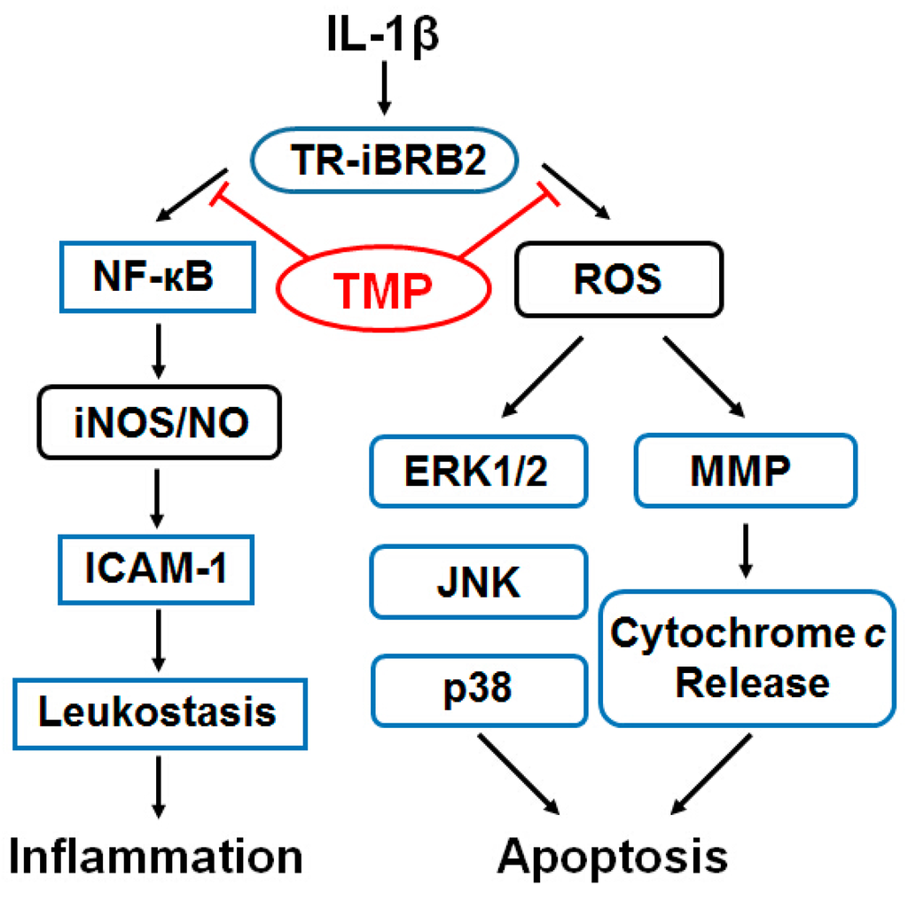 Ijms 16 21775 g008 1024