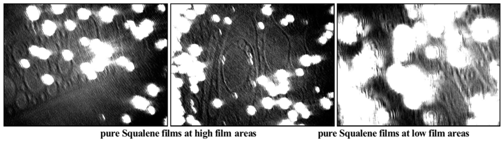 Ijms 16 21813 g005 1024