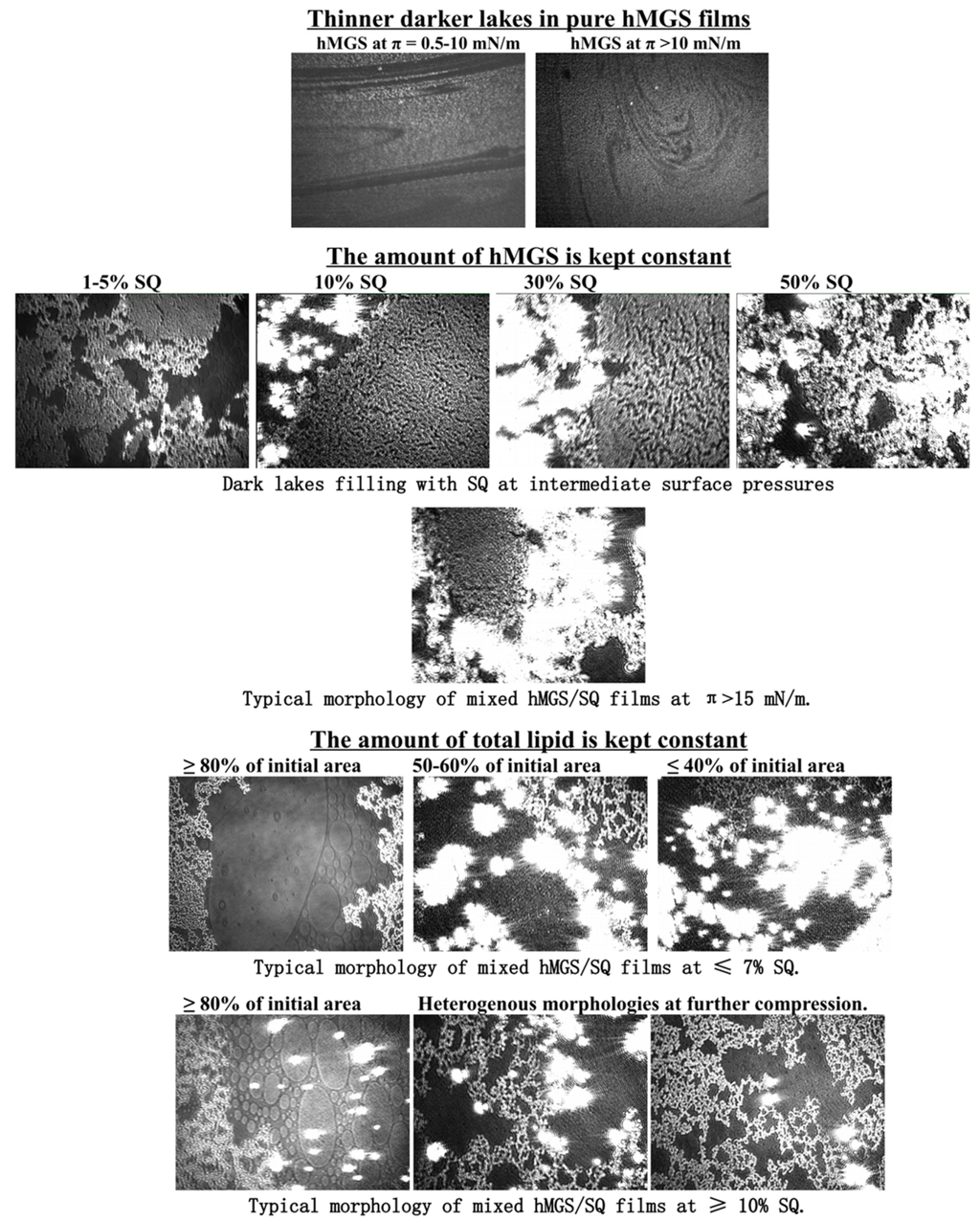 Ijms 16 21813 g007 1024