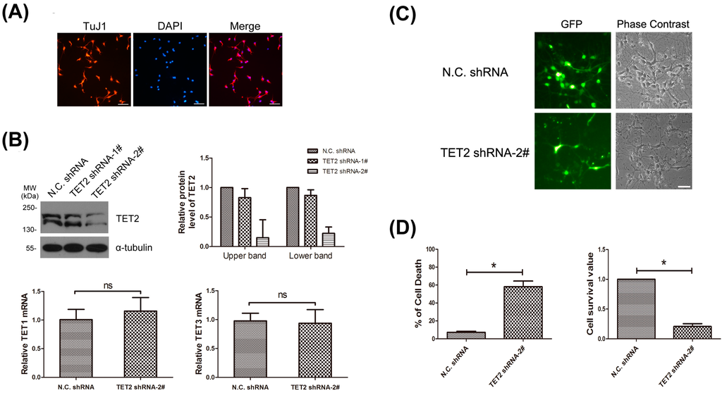 Ijms 16 21846 g003 1024