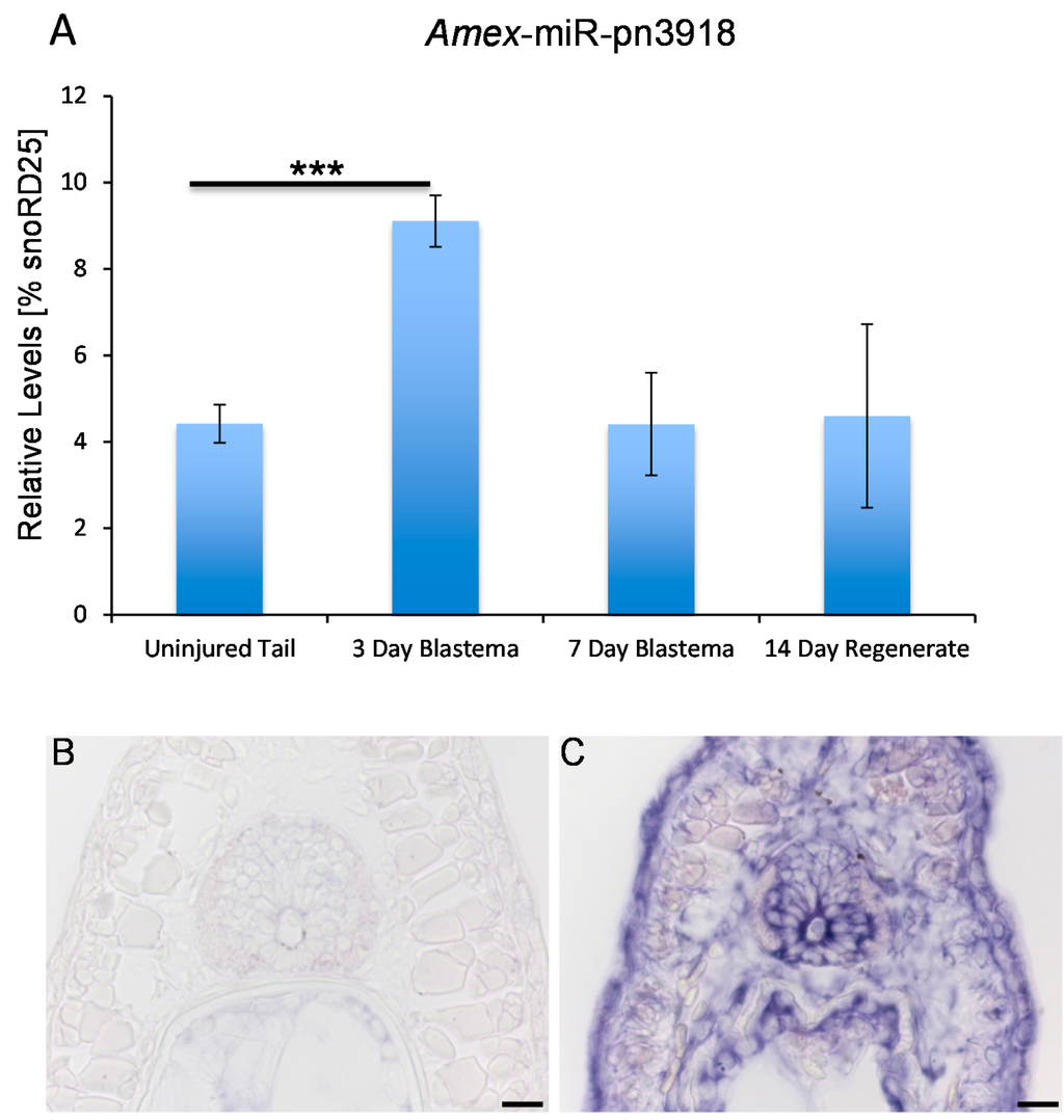 Ijms 16 22046 g003 1024