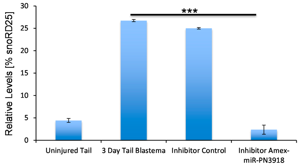 Ijms 16 22046 g005 1024