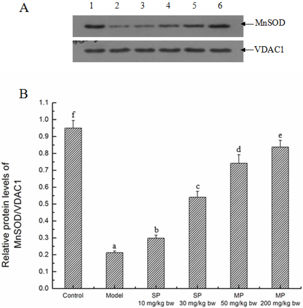 Ijms 16 22062 g004 1024