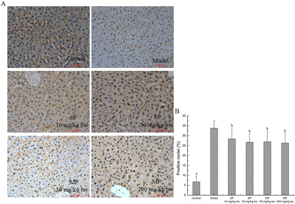 Ijms 16 22062 g008 1024