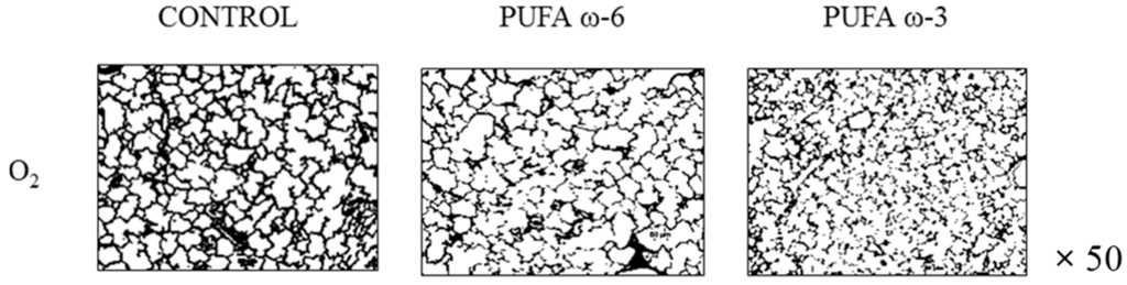 Ijms 16 22081 g003b 1024