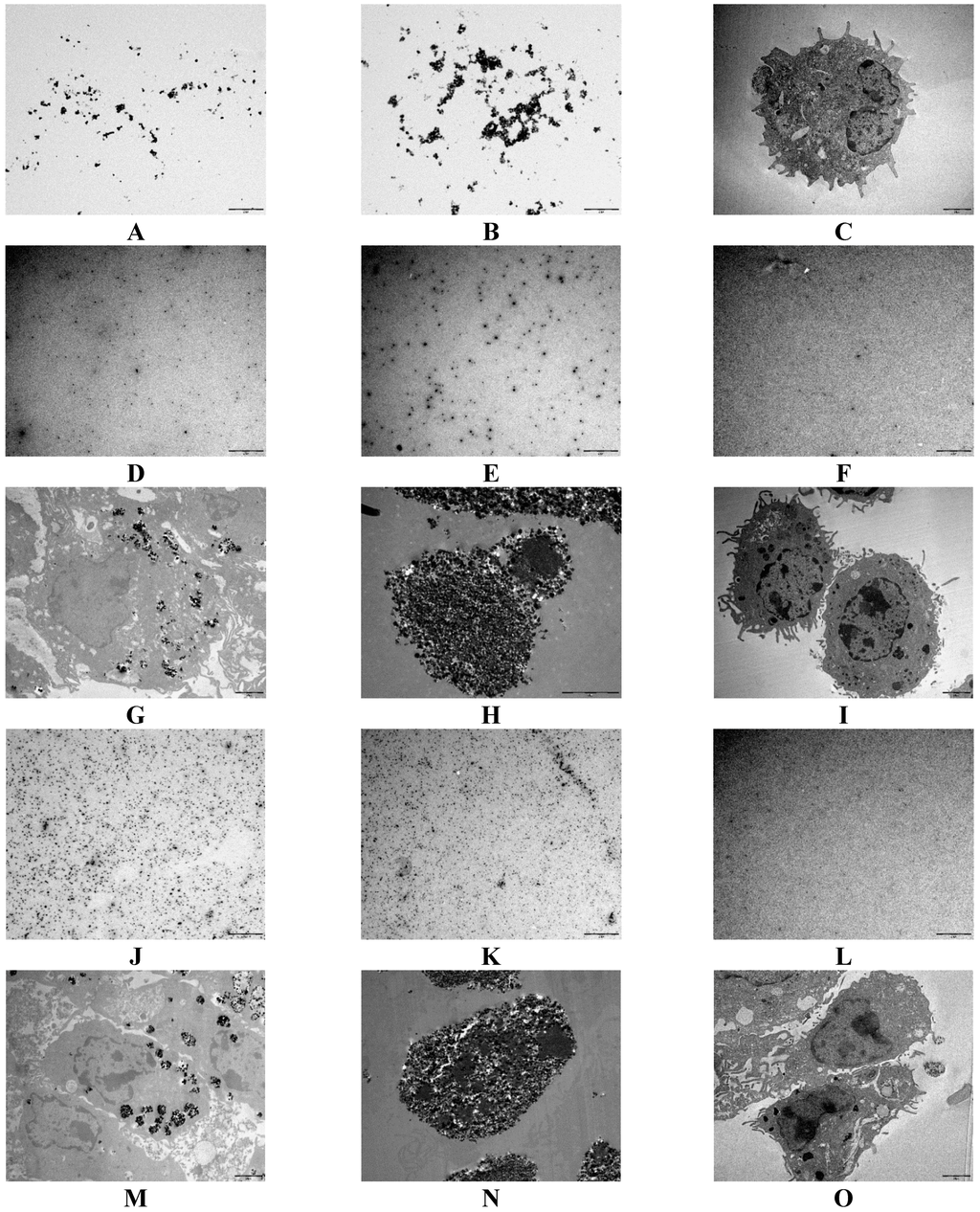 Ijms 16 22243 g004 1024