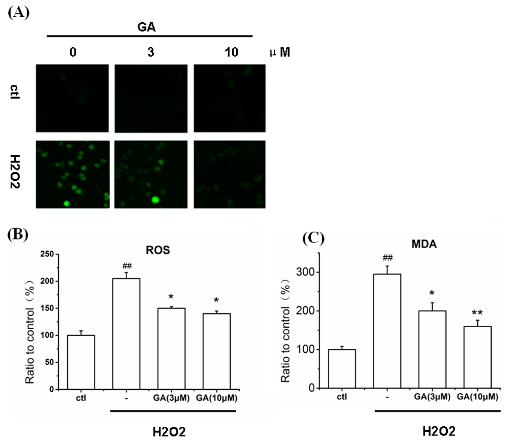 Ijms 16 22350 g007 1024