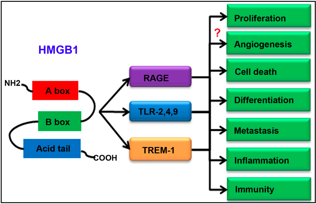 Ijms 16 22527 g001 1024