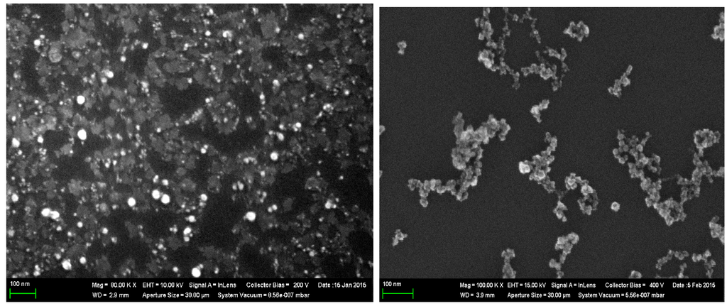 Ijms 16 22555 g008 1024