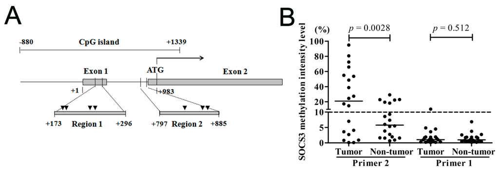 Ijms 16 22662 g001a 1024