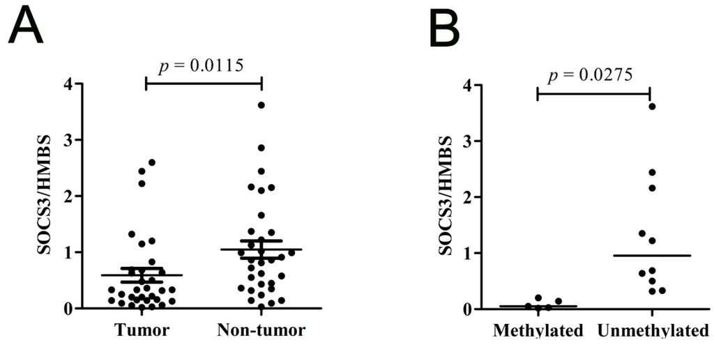 Ijms 16 22662 g004 1024