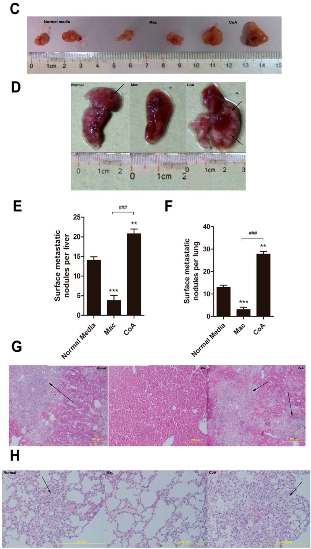 Ijms 16 22957 g001b 550