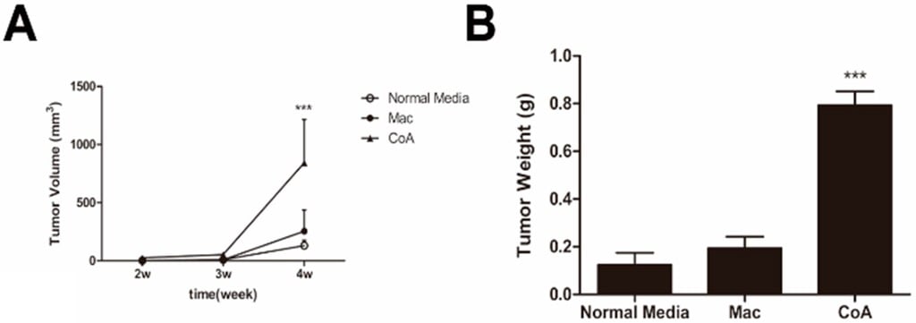 Ijms 16 22957 g002 550