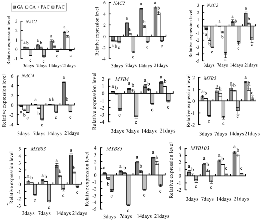 Ijms 16 22960 g005a 1024