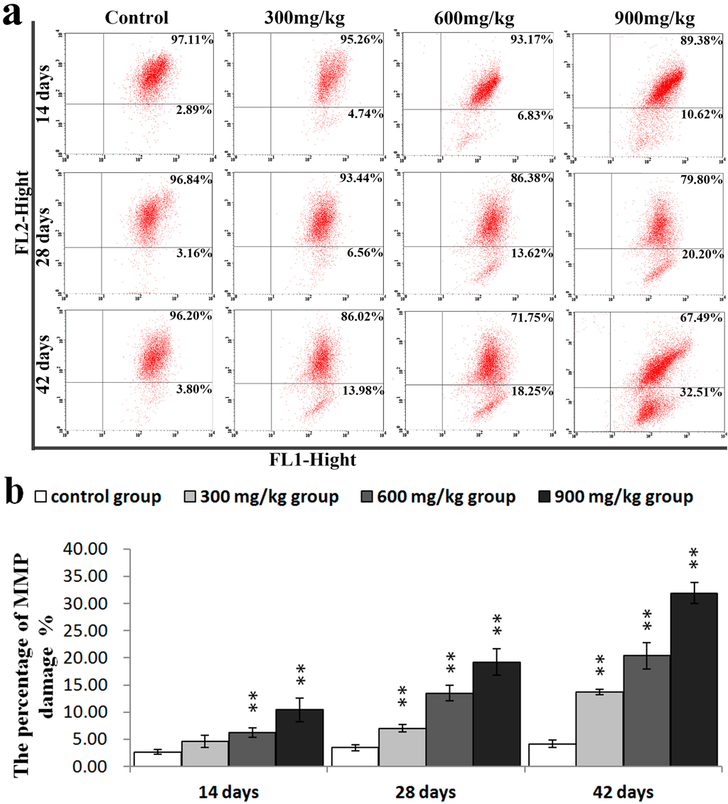 Ijms 16 22989 g006 1024