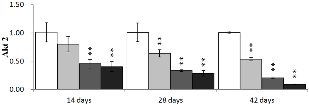 Ijms 16 22989 g009b 1024