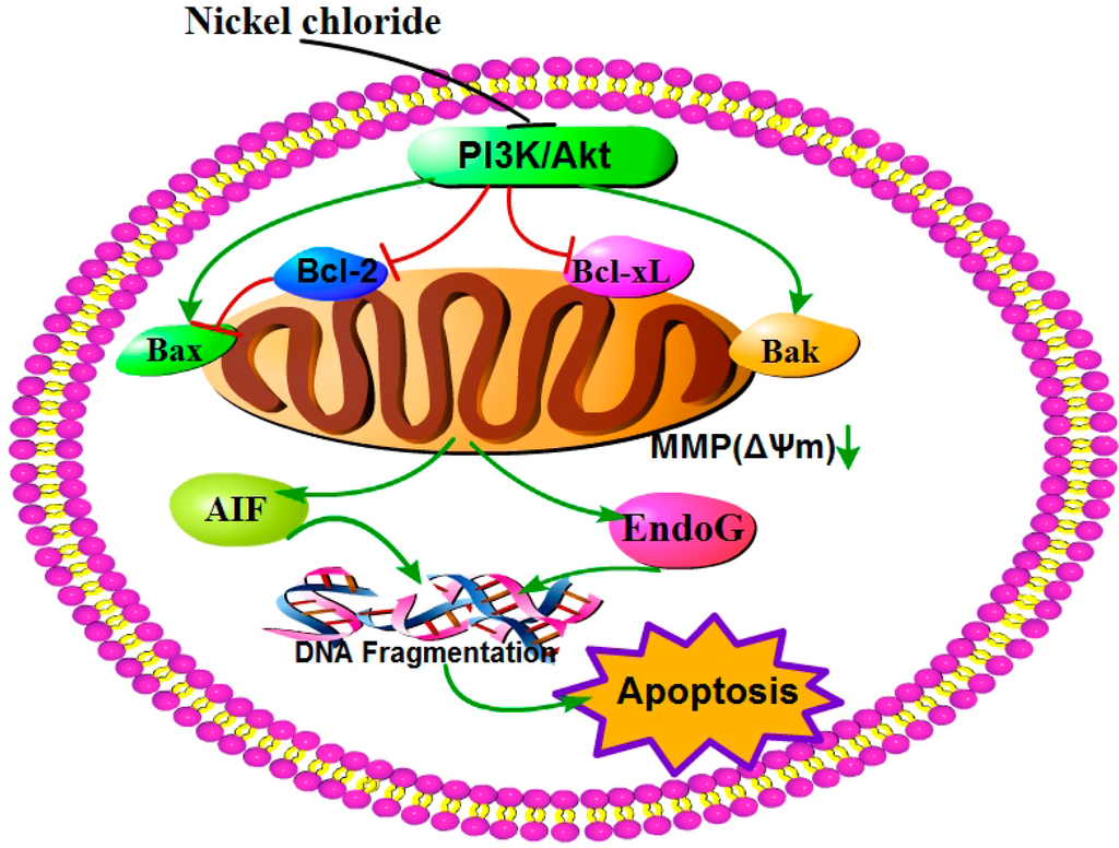 Ijms 16 22989 g014 1024