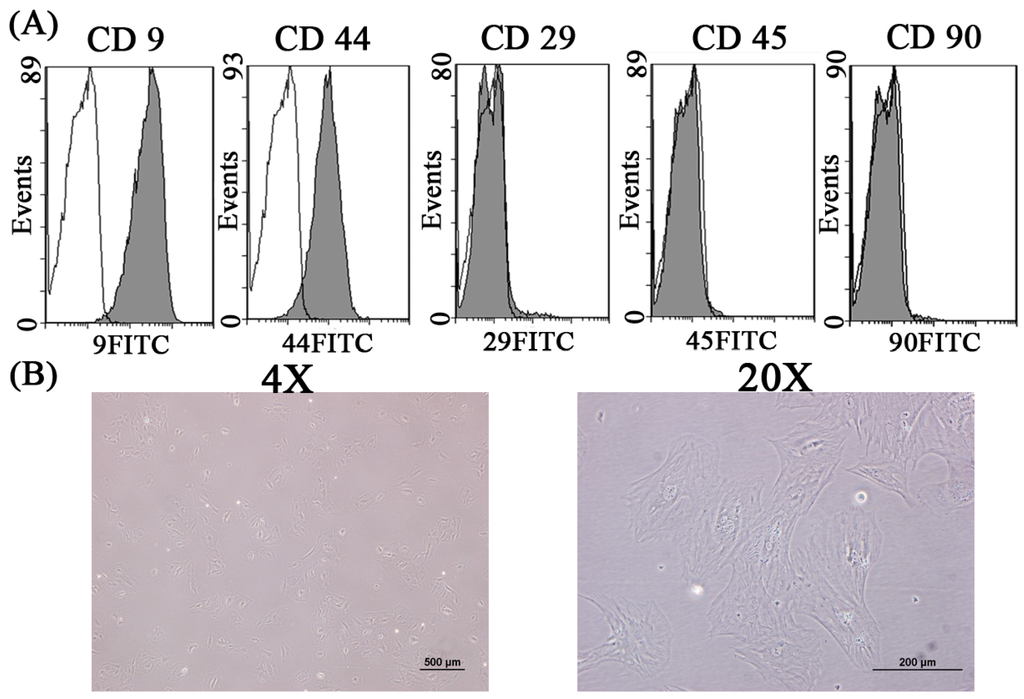 Ijms 16 23318 g001 1024