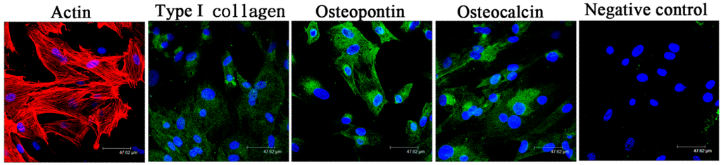 Ijms 16 23318 g002 1024